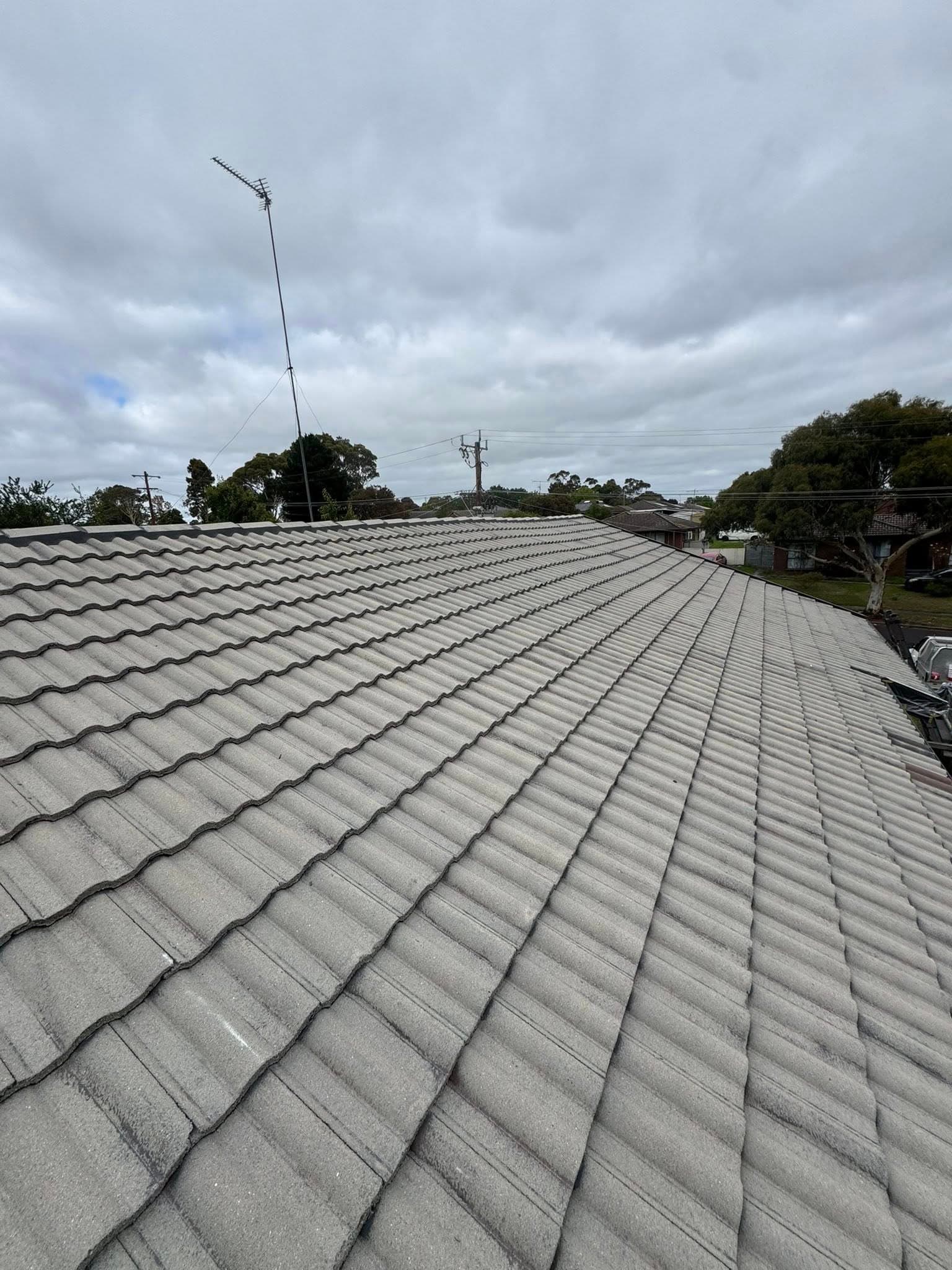 Tile Roof Restoration - Before